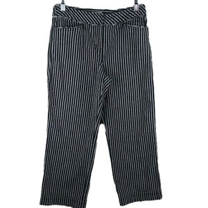 𝅺ANN Taylor Loft Petite Laura Blue Pin Striped Mid Rise Cropped Pant